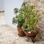 Casa Valverde - Casa de Férias Vale de Cambra