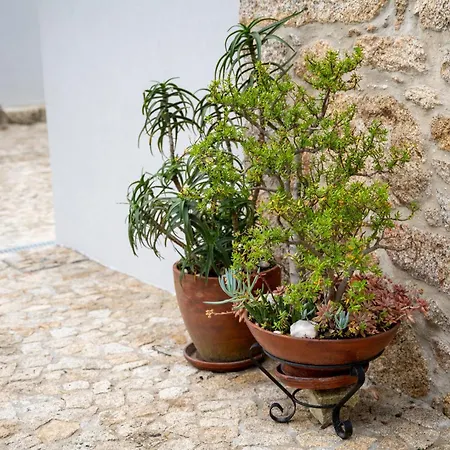 Casa Valverde - Hébergement de vacances Vale de Cambra