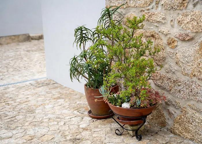 Casa Valverde - Vakantiehuis Vale de Cambra